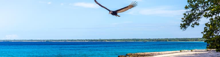 Maria La Gorda, Cuba