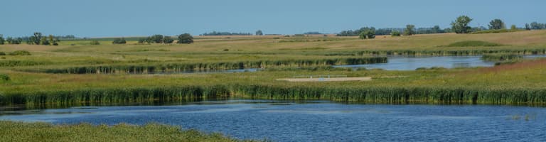 Detroit Lakes MN, Vereinigte Staaten von Amerika