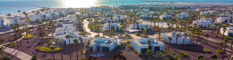 Turtle Bay, Arabie Saoudite