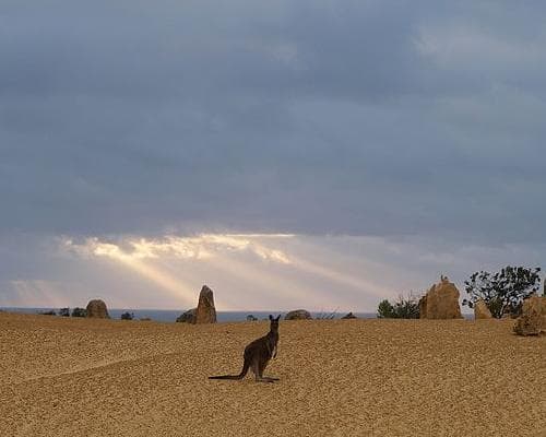 Cervantes, Australien