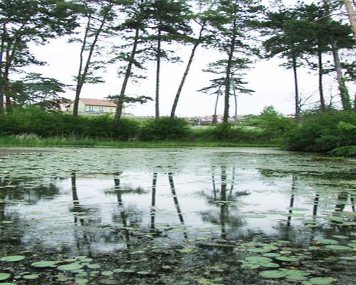 Băile Felix, Rumanía