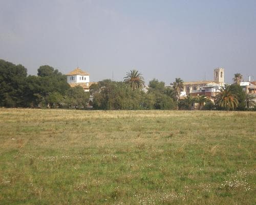 كيونيت, إسبانيا