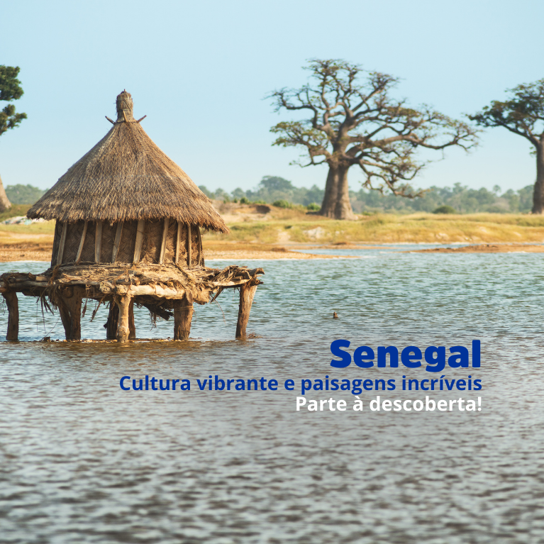 Image - CHARTER SENEGAL