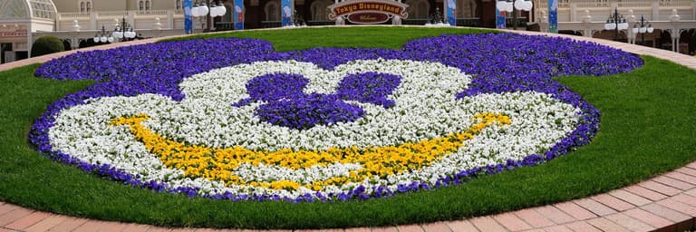 Image - Book the Best Activities in Tokyo