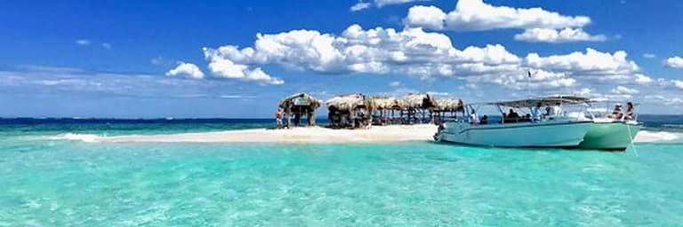 Tema test trini y agu