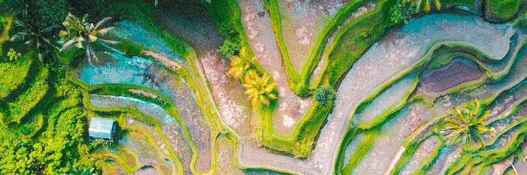 Imagen - Discover Thailand