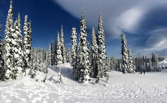 Vacaciones de invierno