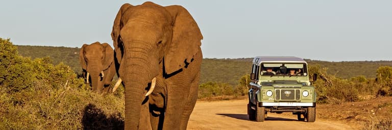 أفكار رحلات