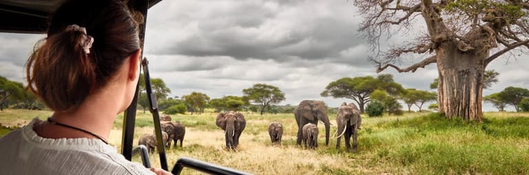 Image - Top Experiences