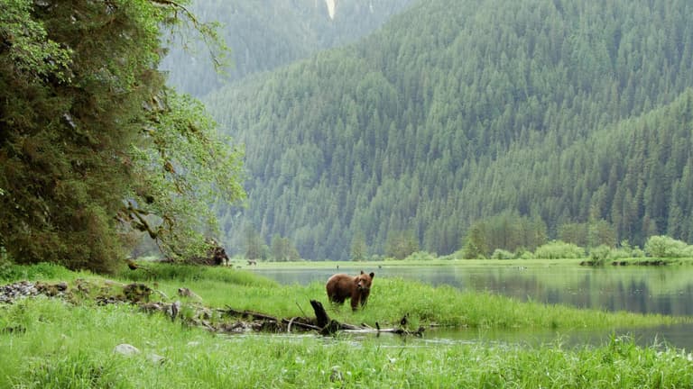 Beeld - Uw droomreis start bij Travel Time