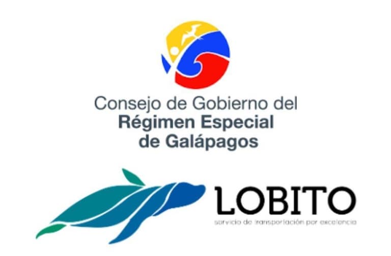 Imagen - Tritón DMC marca la diferencia