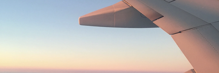 Image - Upcoming Trips