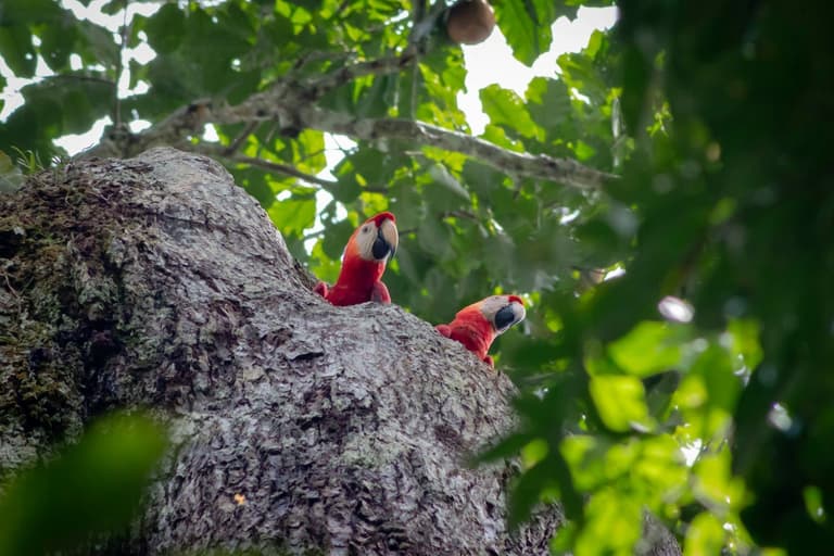 Imagen - Perú para tu Viaje de Novios: 18 experiencias inolvidables