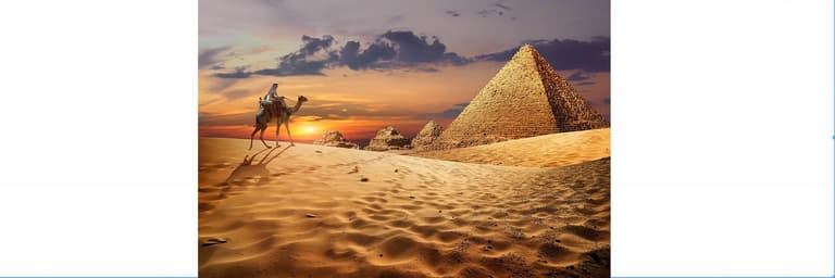 Image - Perfect History Lovers