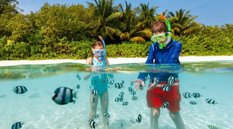 Imagen - Circuitos Organizados con guía en Familia