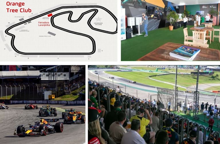 Imagen - Orange Tree Club