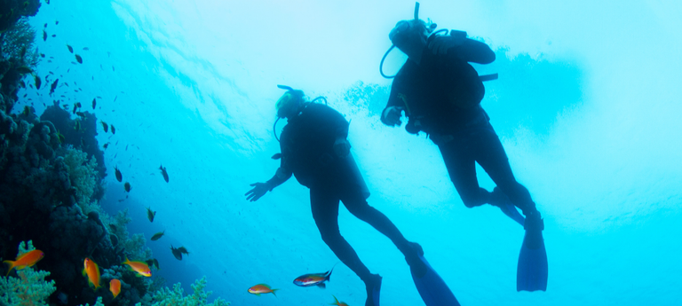 Imagem - Mergulho