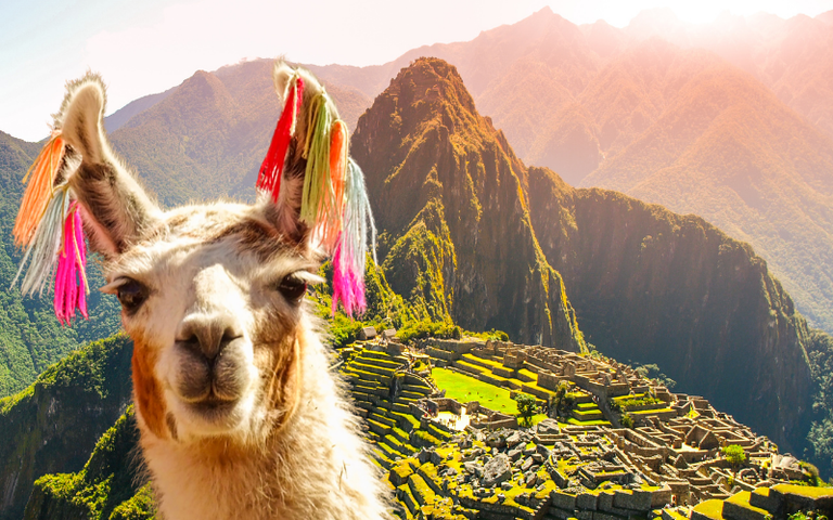 Imagen - Tesoro Andino