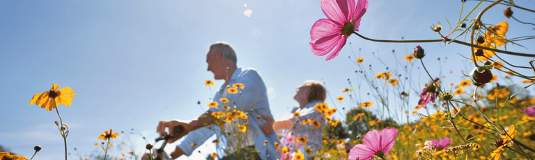 Immagine - TUTTI I VIAGGI 2026