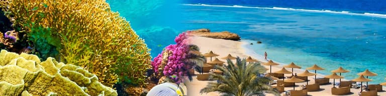 Last Minute Mar Rosso