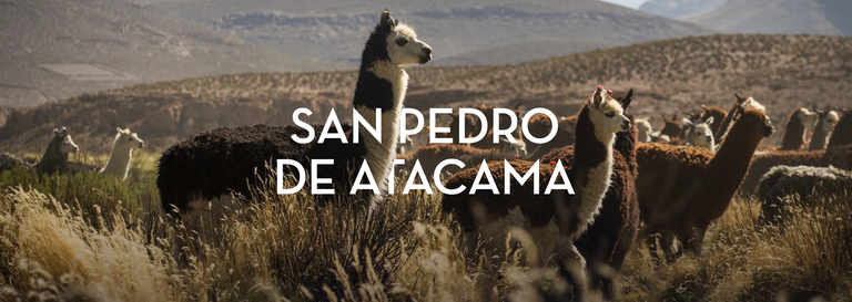 Imagen - SAN PEDRO DE ATACAMA