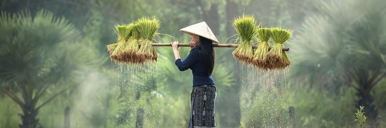 Beeld - Individuele rondreis West-Maleisië - 19 dagen