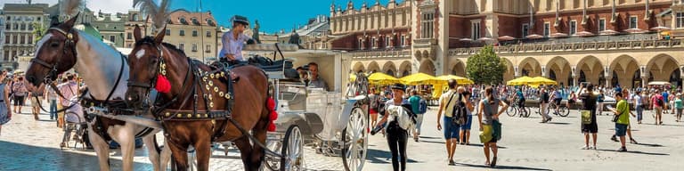 جولات في المدينة