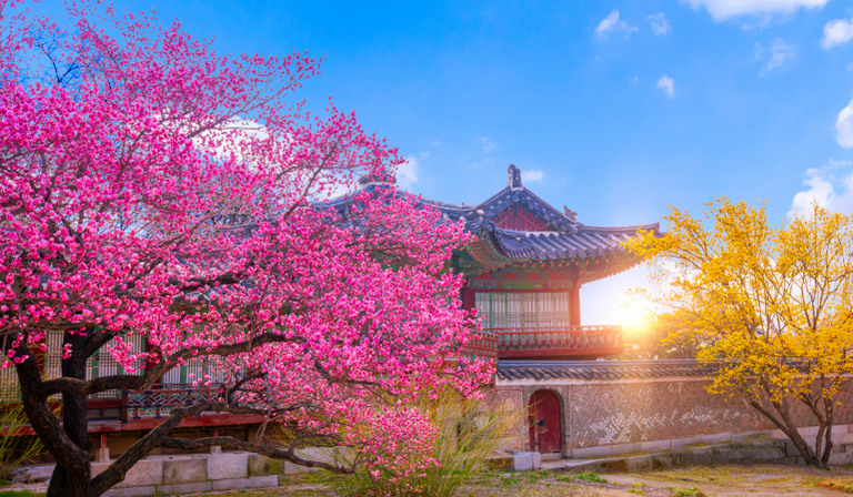 Imagen - Corea y Japón