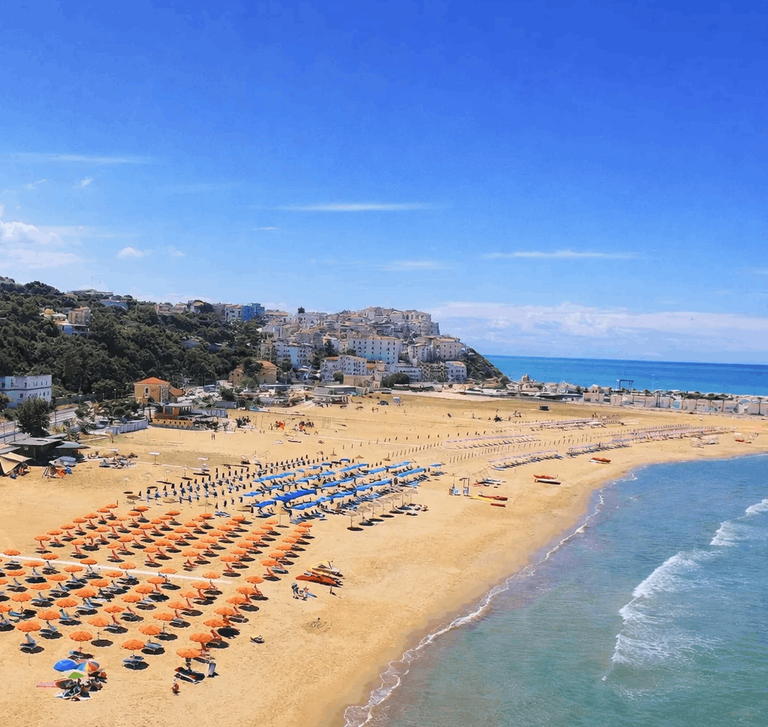 Immagine - My Hotel 3*