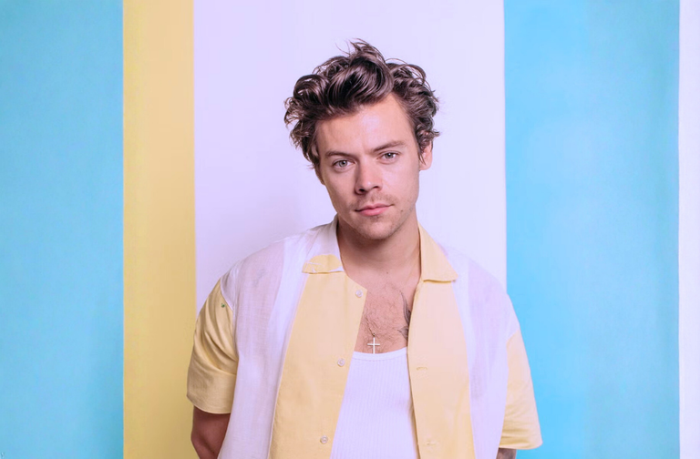 Immagine - Harry Styles 2026 – Concerti ed esperienze live