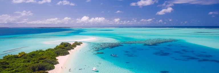 Immagine - OFFERTE DA PRENDERE AL VOLO!