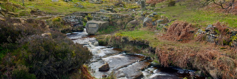 Image - Scopri il programma