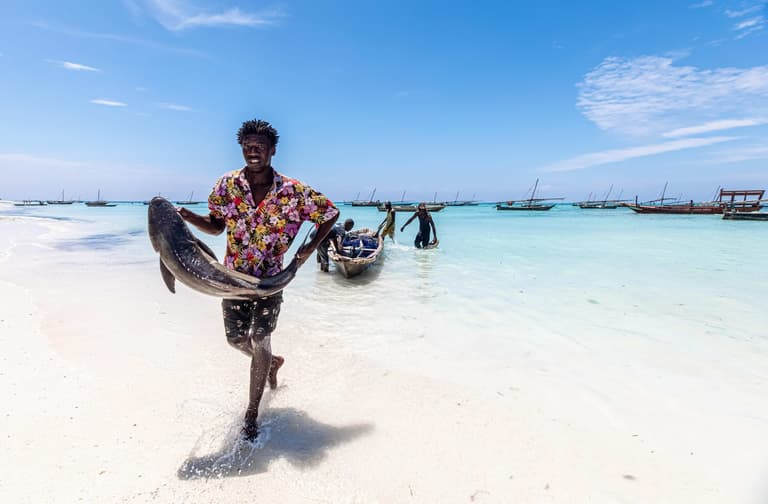 Immagine - L'Anima Conviviale di Zanzibar