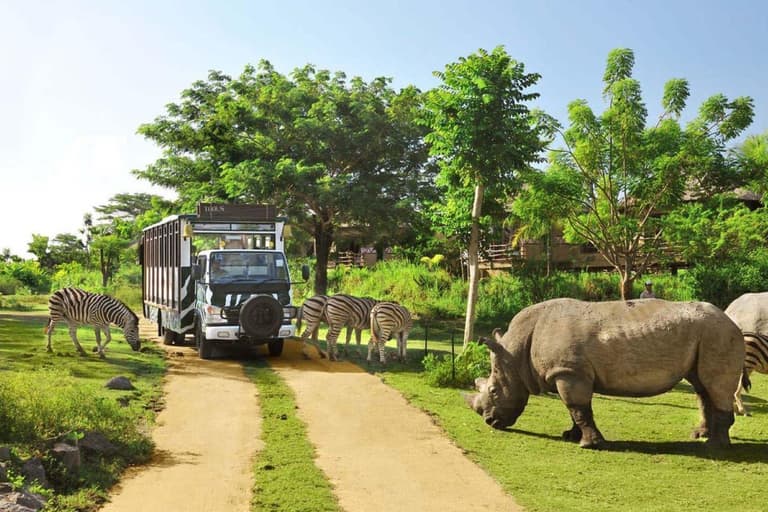 Image - Safari Vacations