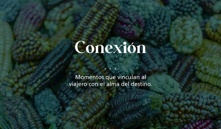 Imagen - GUSTO Perú