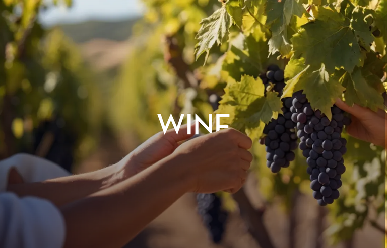 Imagen - WINE