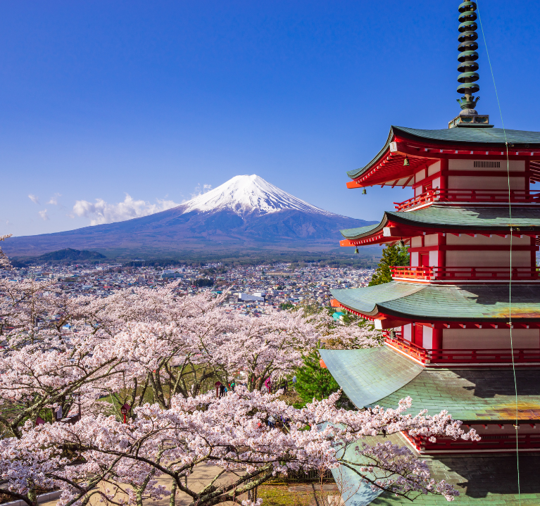 Imagen - Japón Temporada de Cerezos