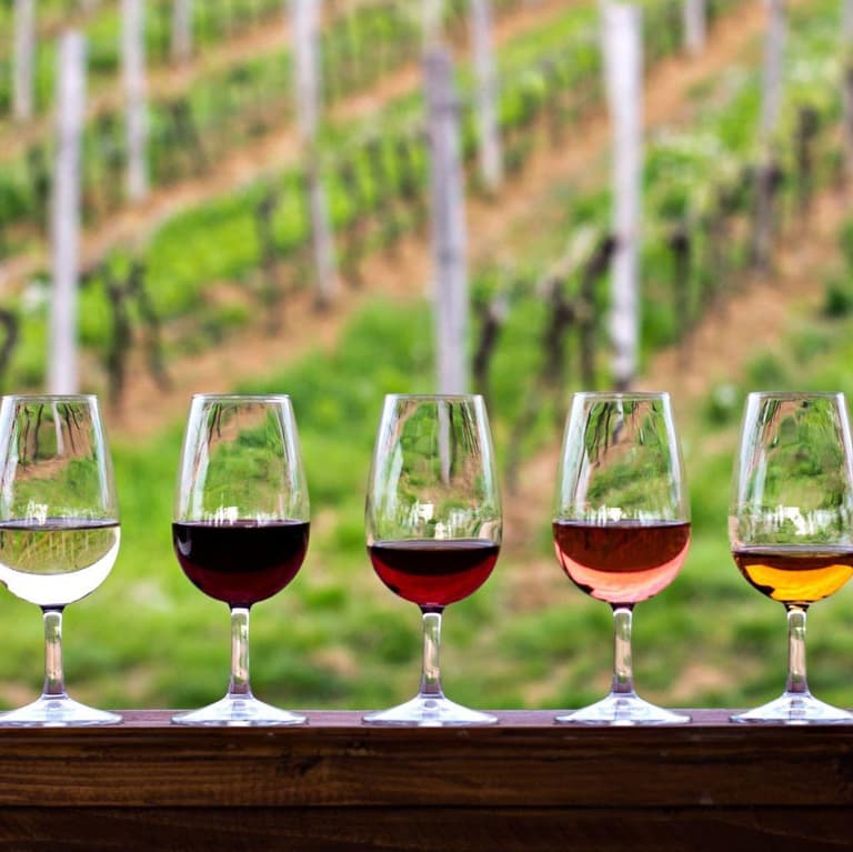 Image - Culinary & Wine Experiences