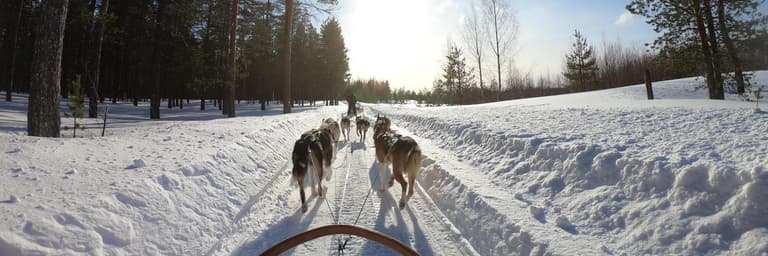 Bridges and holidays