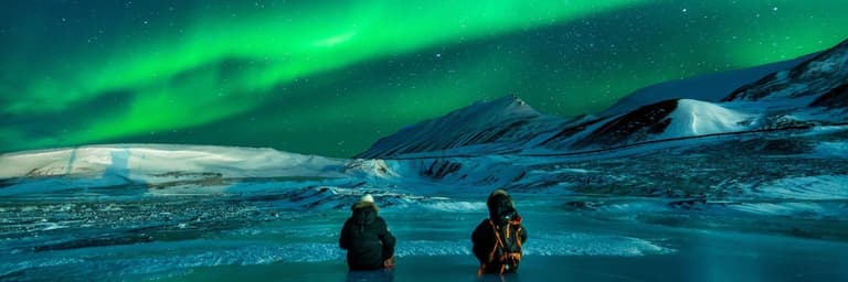 Circuite cu insotitor