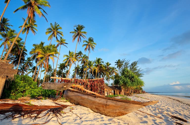Immagine - Beach Therapy: Zanzibar Edition