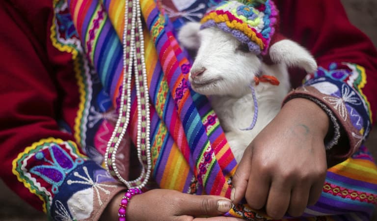 Imagen - VISTA Perú