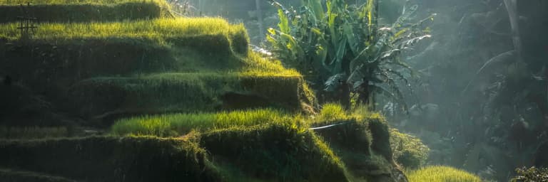 Beeld - Ontdek Bali in het sanur resort Watujimbar - 17 dagen