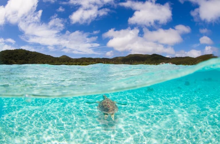 Immagine - Giappone: meraviglie costiere, tradizioni millenarie e fascino senza tempo