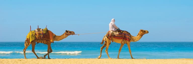 Le mille e una notte