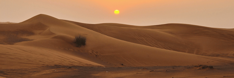 Image - Save £50 on all UAE bookings for 2026