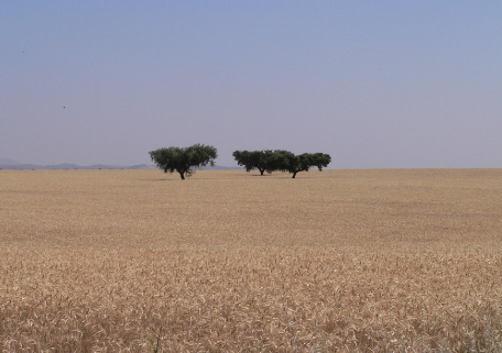 Alentejo