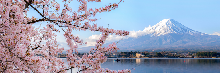 Imagem - Viajow Signature