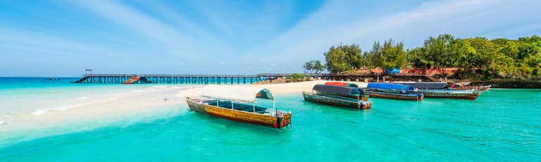 Immagine - Non lasciare che Zanzibar resti un sogno