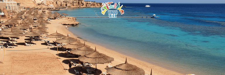 Imagen - SCAPPA AL CALDO